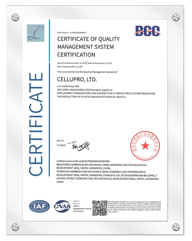 ISO9001