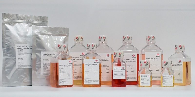 CelluPro’s Culture Media Contributes to the Successful Approval of the New Drug Telitacicept, a Class 1 Innovative Biological Product