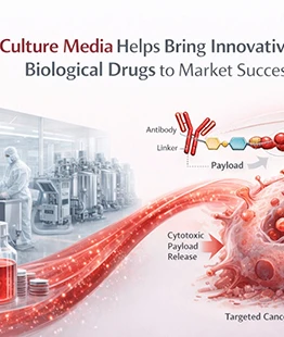 CelluPro&rsquo;s Culture Media Contributes to the Successful Approval of the New Drug Telitacicept, a Class 1 Innovative Biological Product