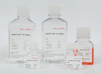 Cell and Gene Therapy Solutions