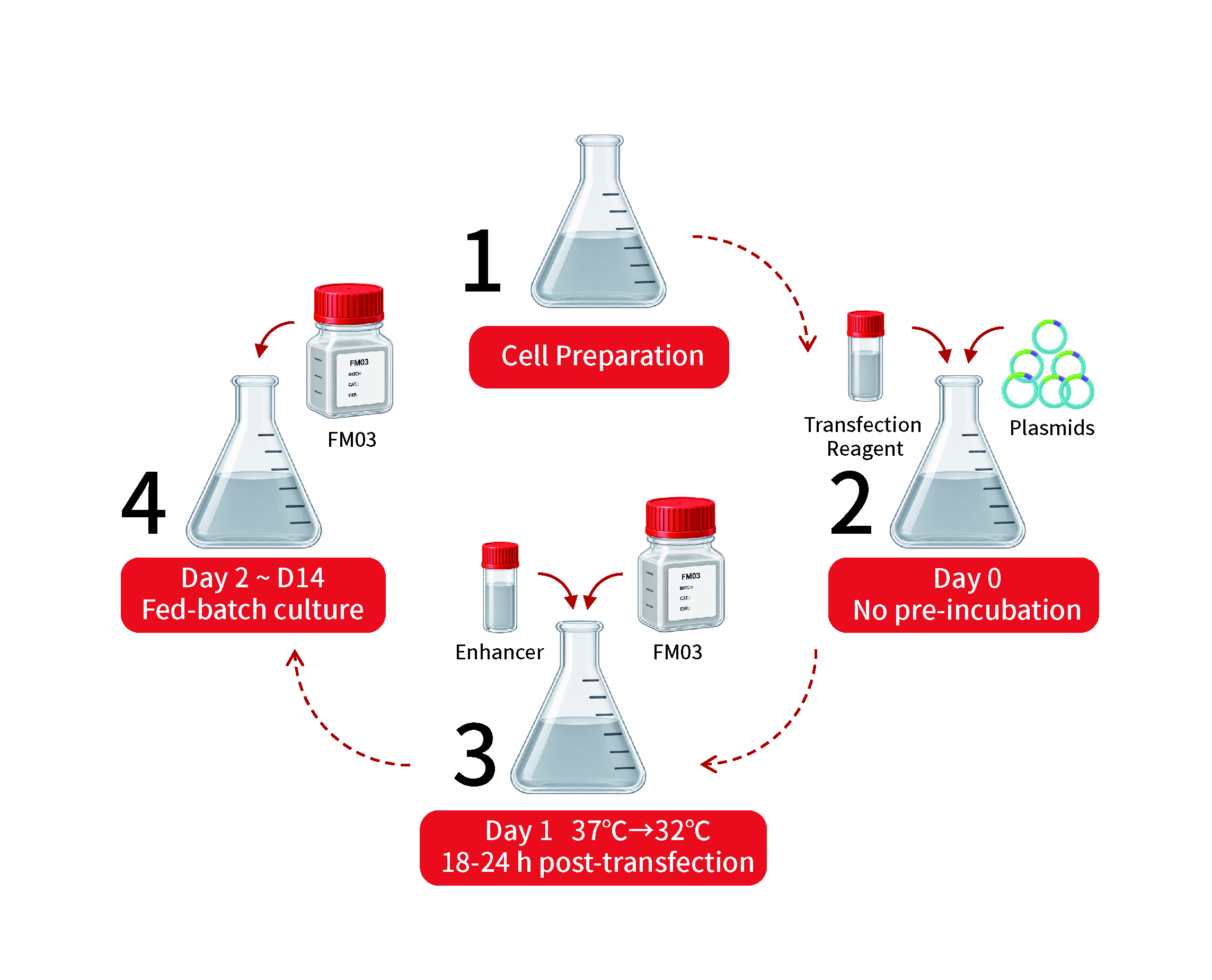 CelliMax® TransCHO Kit02